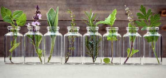 essential oil herbs in jars