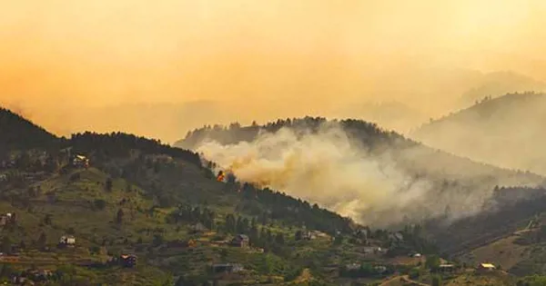 wildfire burning hillside