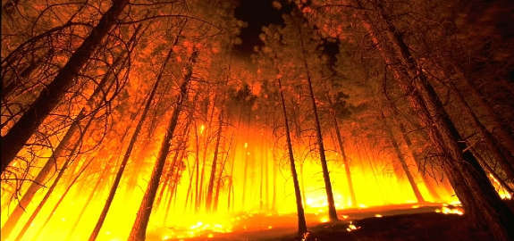 Canadian Wildfires in Alberta Force Over 80,000 to Evacuate