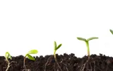 Nurturing Leads & Growing New Business