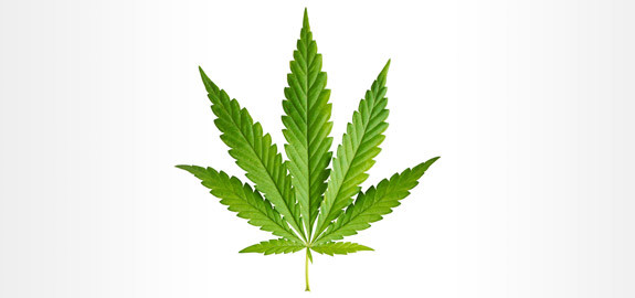 Fatal Car Crashes Tied to Marijuana Spike in Utah and Washington