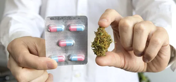 doctor holding marijuana and prescription medication