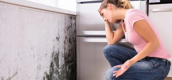 mold damage covered by home insurance