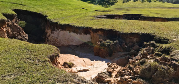 Sinkhole on lawn