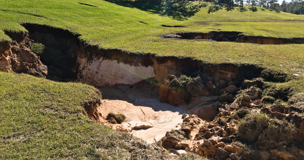 Sinkhole Insurance Coverage QuoteWizard