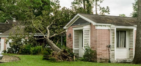 Tree falls near house after windstorm