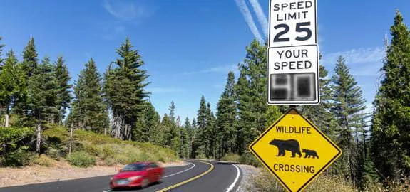 Worst States for Speedy Drivers