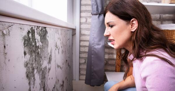 How Renters Insurance Covers Mold - QuoteWizard