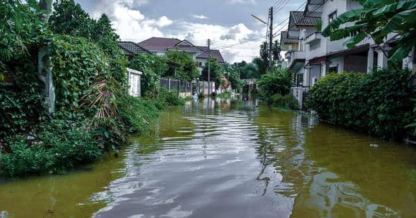 flood-insurance-in-texas-2023-quotewizard